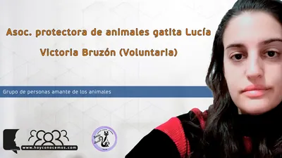 Gatita Lucía, Asociación protectora de animales
